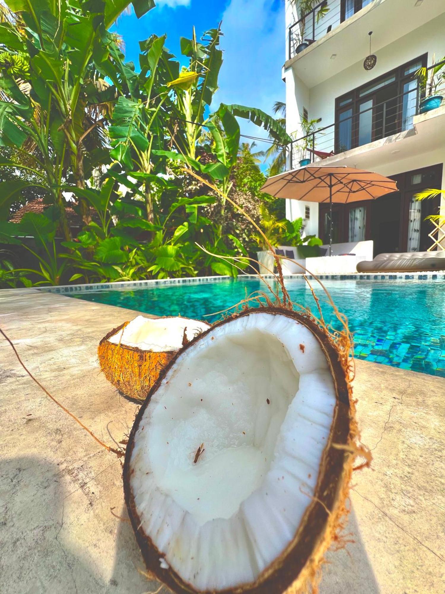 The Jini House Hotel Ahangama Exterior photo